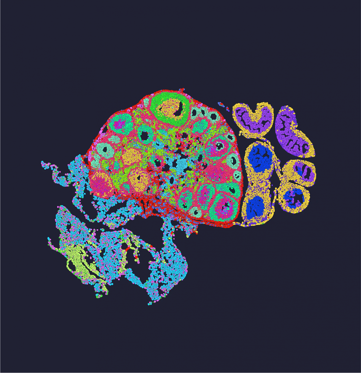 Spatial Omics Transcriptomics vs. Bulk RNA-seq: Key Differences ...
